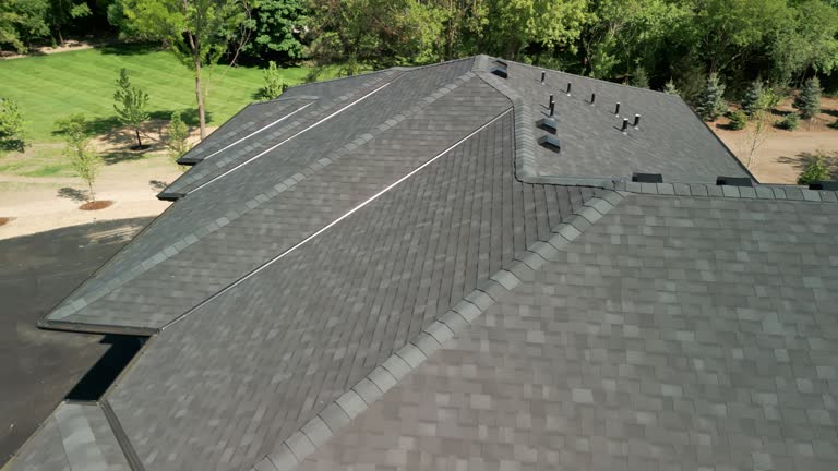 Best Roof Coating and Sealing  in Minerva, OH